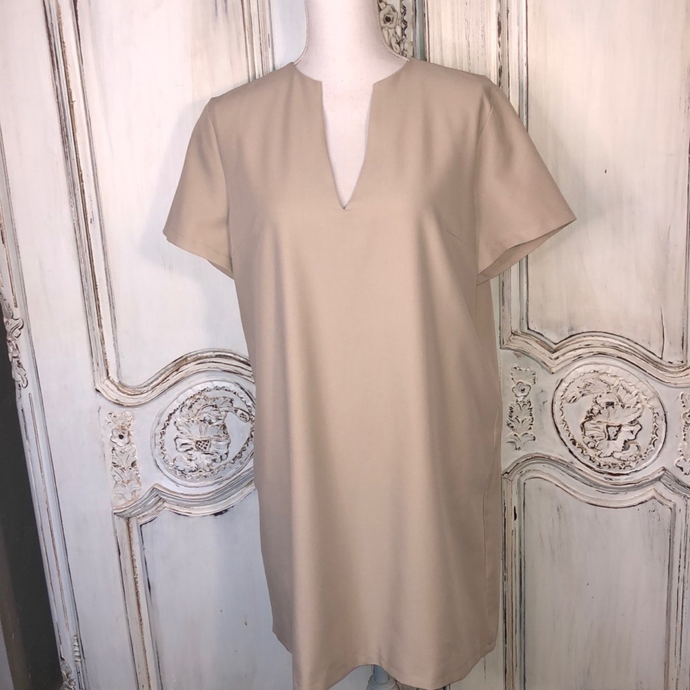 AEL Amy Enjoy Life Minimalist Short Sleeved Deep V Neck Full Cut Sheath Dress